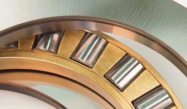 Cylindrical Roller Thrust Bearing Supplier