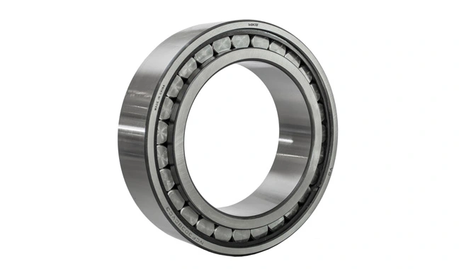 Single-Row Full-Complement Cylindrical Roller Bearings